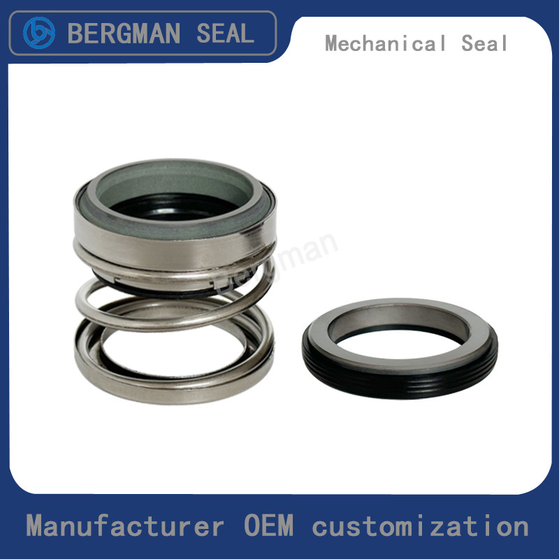 BERGMAN 108-8mm-60mm Submersible pump Pipeline Pump Mechanical Seal