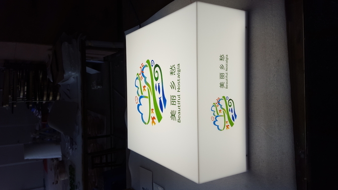 Wall Mounted LED Light Boxes 10000K 2500*250*80mm For Advertising