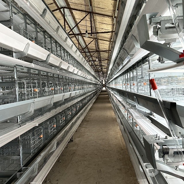 Automated Laying Hens Machines 8 Tier Chicken Layer Battery Cage Chicken Cages Hot Galvanized Egg Layer Poultry Farms