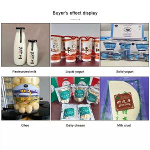 Dairy Pasteurized Milk Yogurt Making Machine Automatic