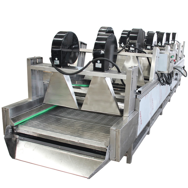 600kg/H 900mm Mushroom Vegetables and fruits natural air drying machine
