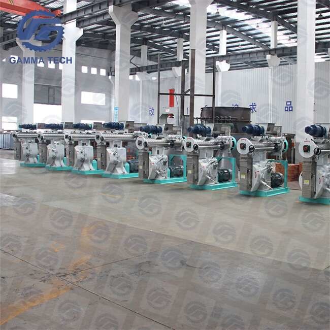 Large Capacity 8mm Animal Pellet Making Machine Fish Cat Dog Food Pellet Machine