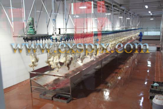 Customized Chicken Duck Turkey Goose Slaughter Machine 2000BPH For Poultry