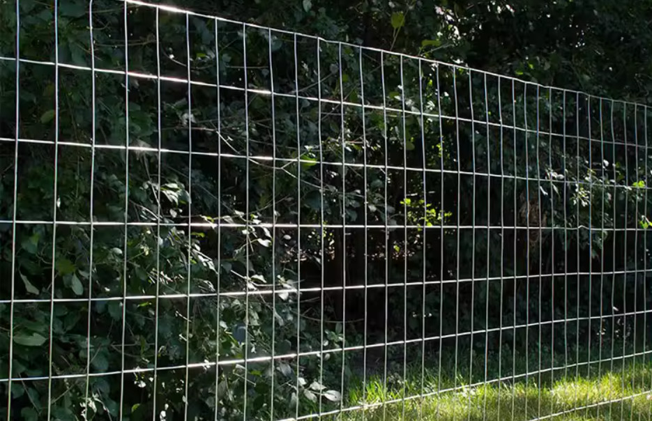 Free Sample Galvanized Welded Wire Mesh Roll For Protection And Decoration