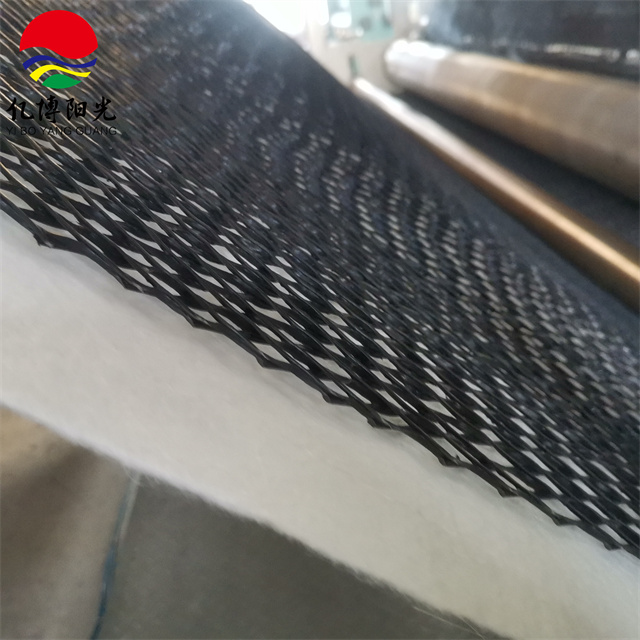 HDPE Composite Geonet Plastic Geocomposite for Drainage and Protection Installations