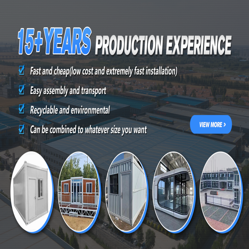 20ft 2 Storey Container House for Luxury Living and Work in Steel Structure Material