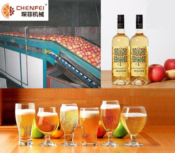Energy Saving Fermentation Equipment Small Capacity Apple Pear Fruit Wine