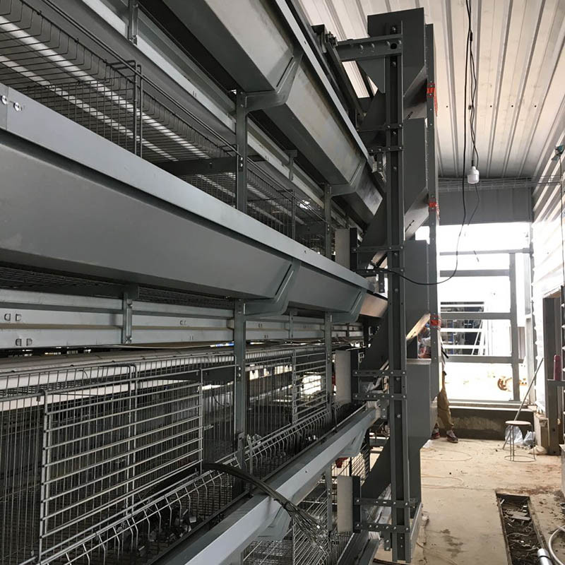 Poultry Farm H Type Layer Cage 25.5 * 24.5'' Better FCR ISO9001