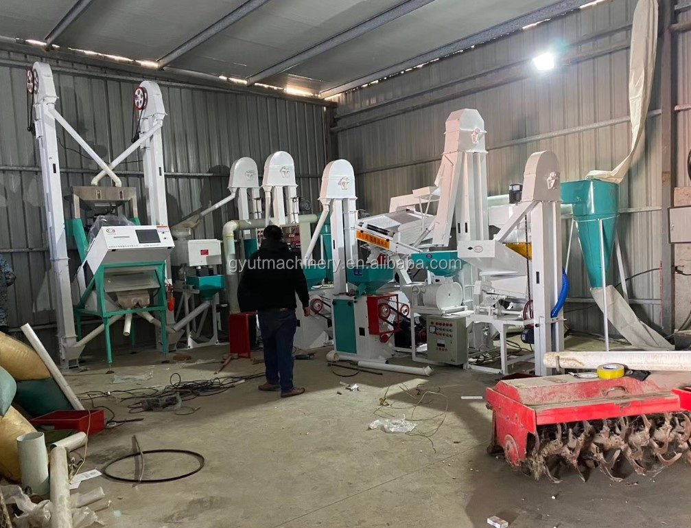 1 Ton Per Hour Millet Mill Machine 1150kg Emery Roller Rice Millet Whitener for Home