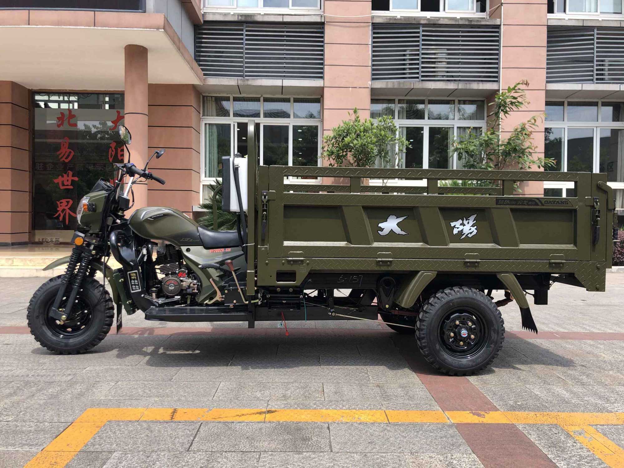 DAYANG 5.0-12 Tire Size Motorized Tricycle for Food Delivery in Tanzania Market