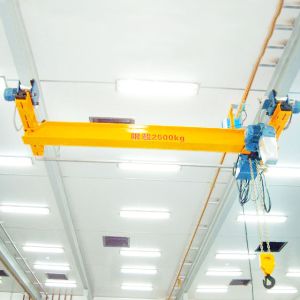 30m Lifting Inversion Single Girder Overhead Crane
