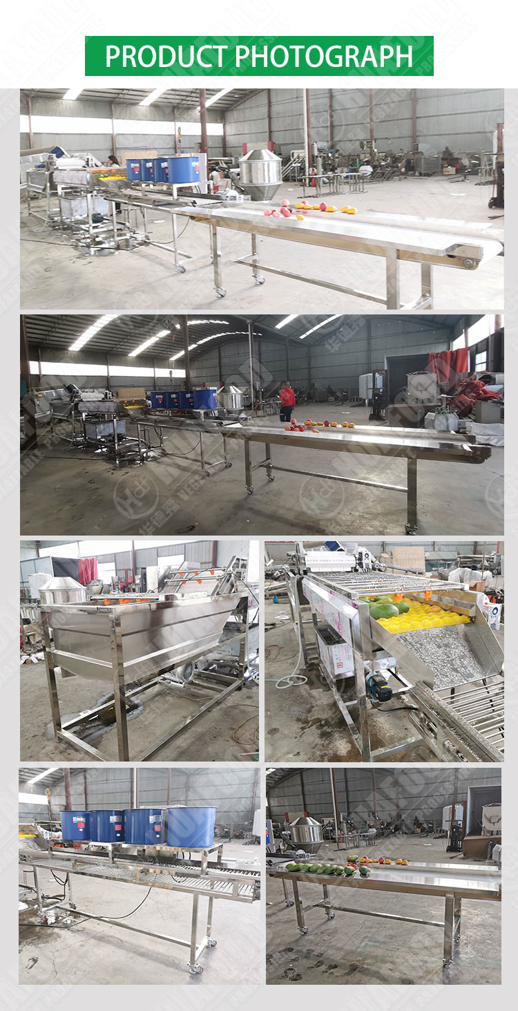 SS304 Vegetable And Fruit Washing Machine Mango Processing Line