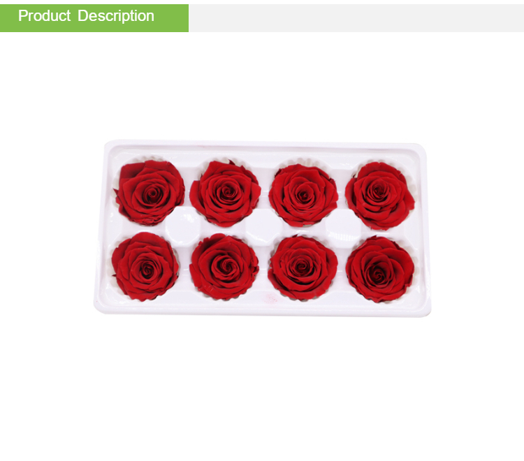 Indoor Decoration Beautiful Preserved Rose Heads Customized Color