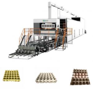 China Automatic Fruit Apple Tray Production Line Paper Pulp Molding Machine on sale