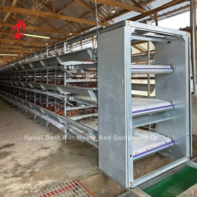 110kg Capacity Chicken Cage for Raising Chicken at 432cm2 A or H Type Doris