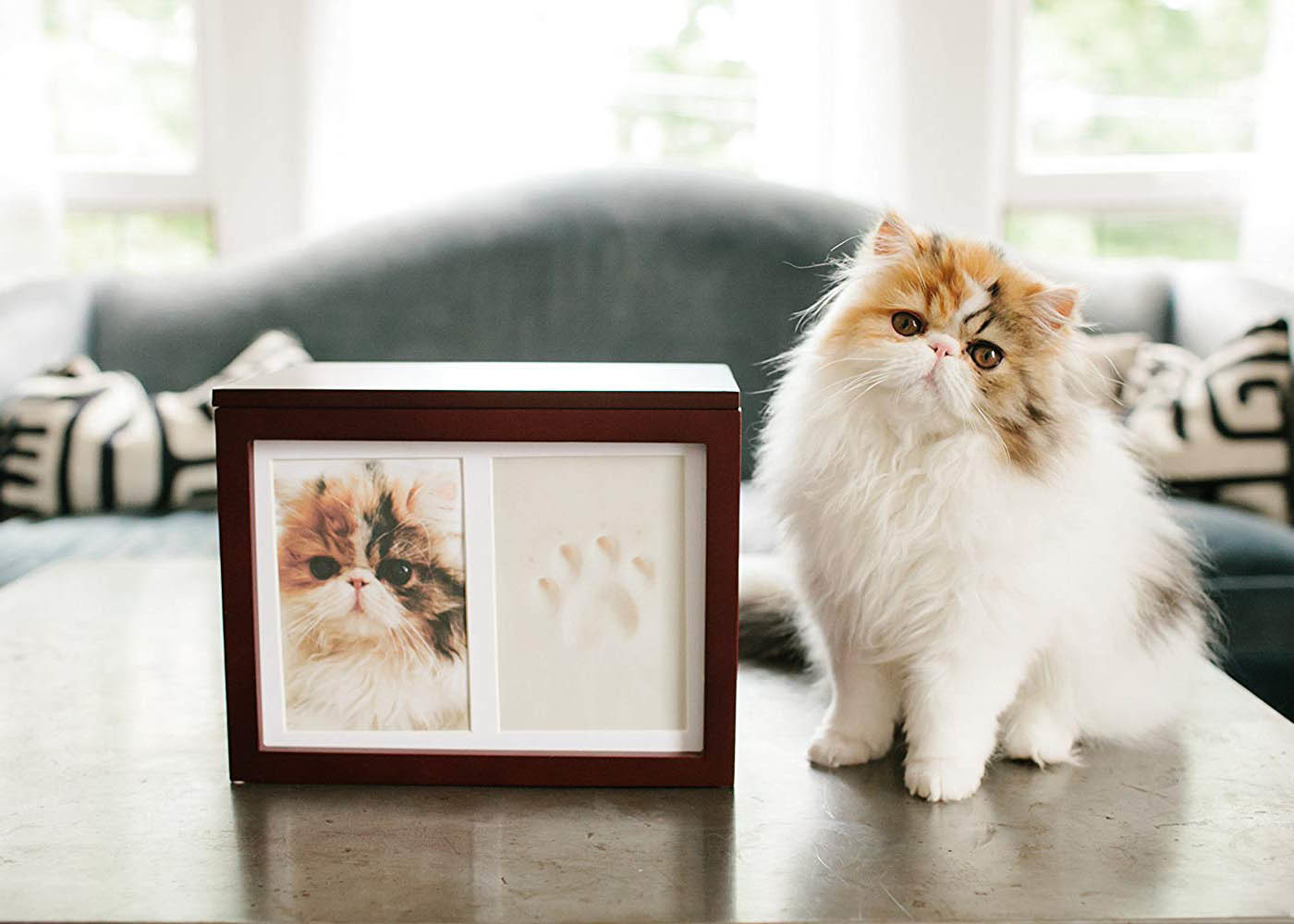 Non Toxic Wood Photo Frames Memorial Pet Paw Print Customized And Uncrackable