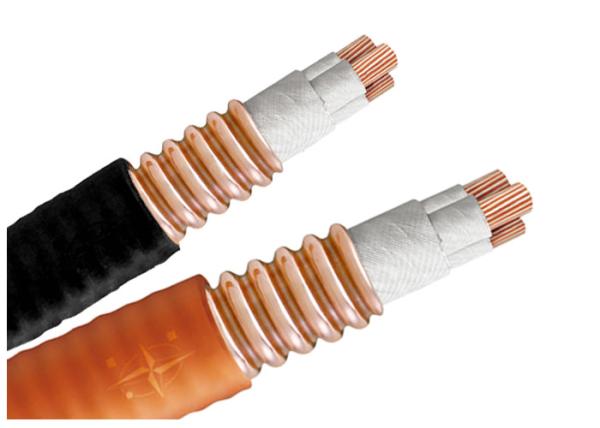 Heavy Load 750V High Temperature Electrical Cable With Strong Radiation