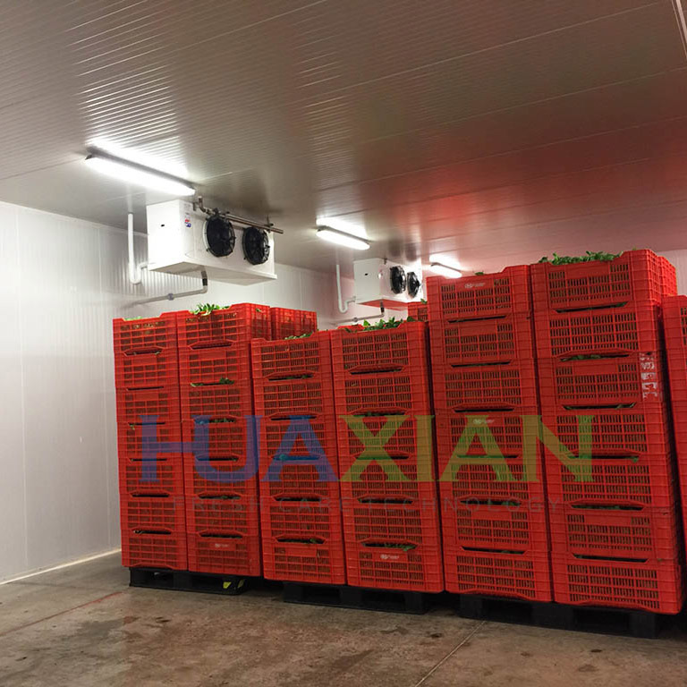China Sale Price Bitzer Condensing Refrigeration Unit Freezer Container Cold Room
