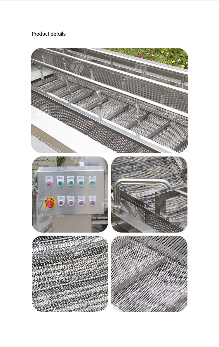 240KG SUS 304 Vegetable And Fruit Washing Machine Orange Cleaning Machine