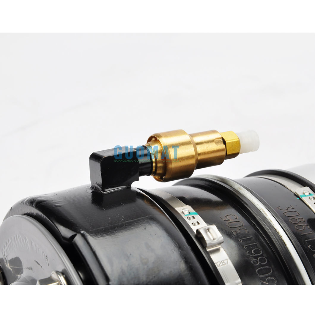 Air Suspension Spring 4f0616040 for Audi A6 C6 4f S6 4f0616040q Front Right