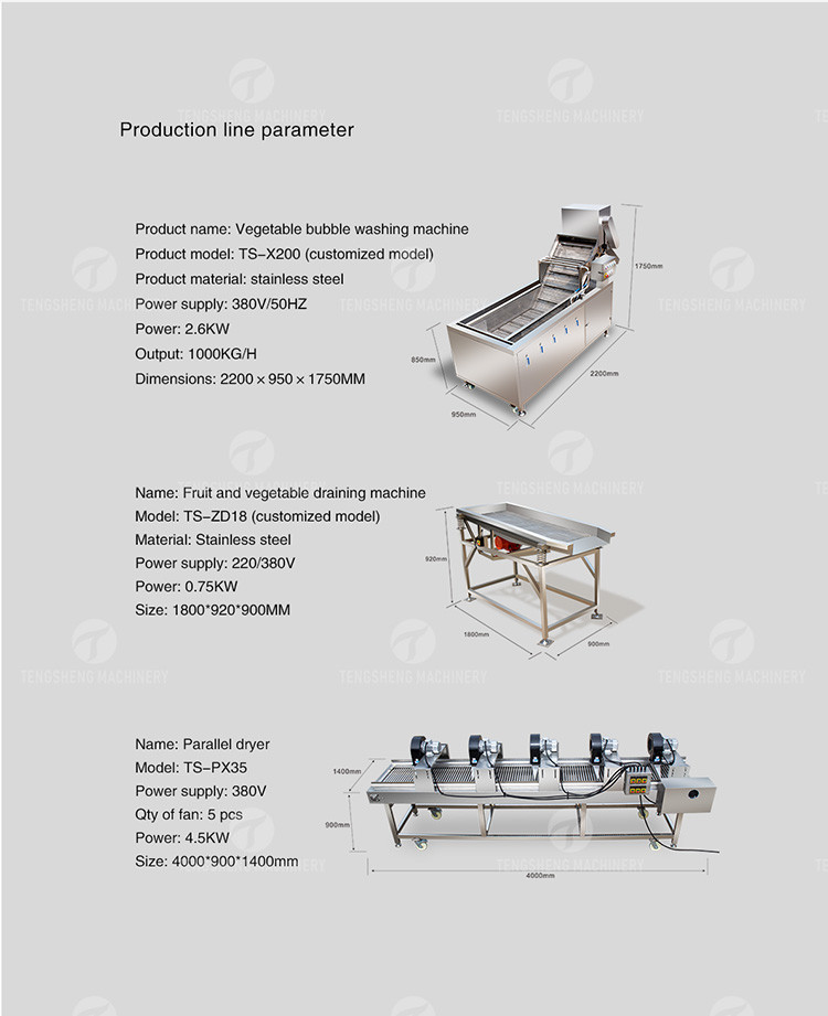 1000KG/H Fruit And Vegetable Processing Line Bubble Washing And Vibrating Drying