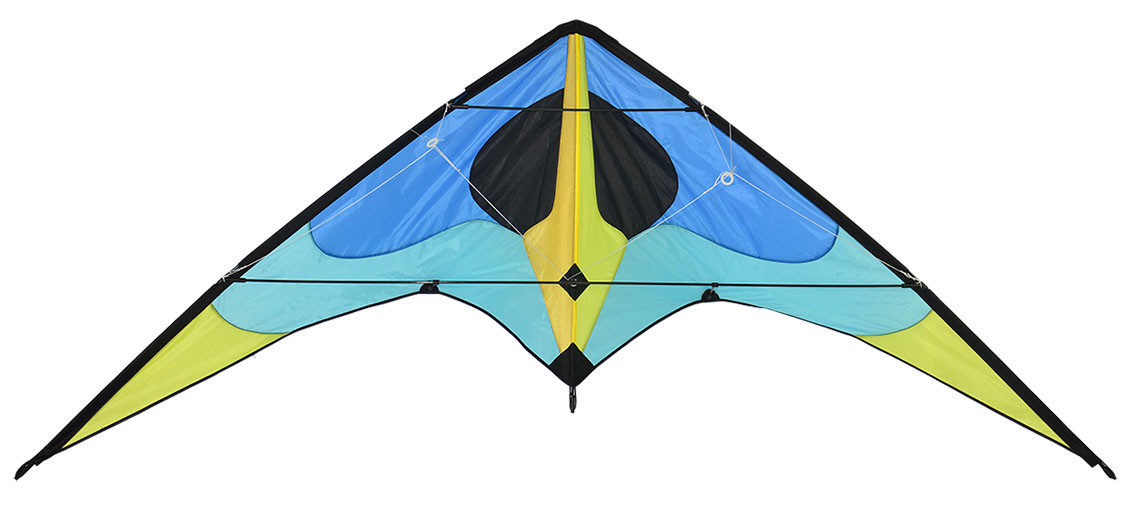 160*80cm Dual Line Delta Sport Kite For Autumn Season