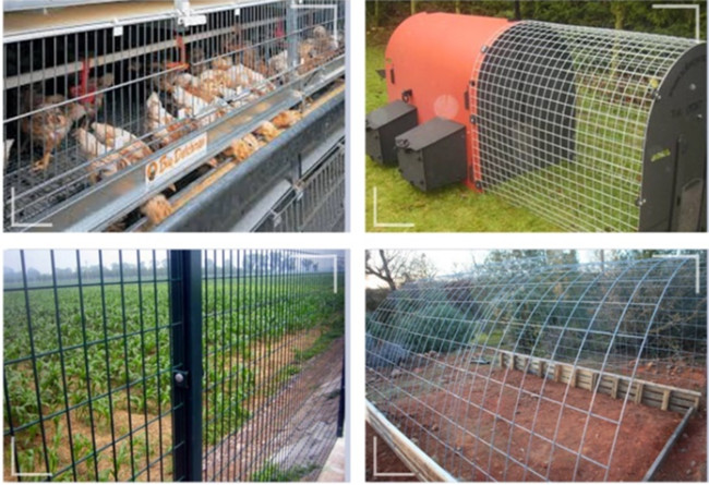 1/4 Inch Welded Wire Bird Cage Panels Hardware Cloth Galvanized