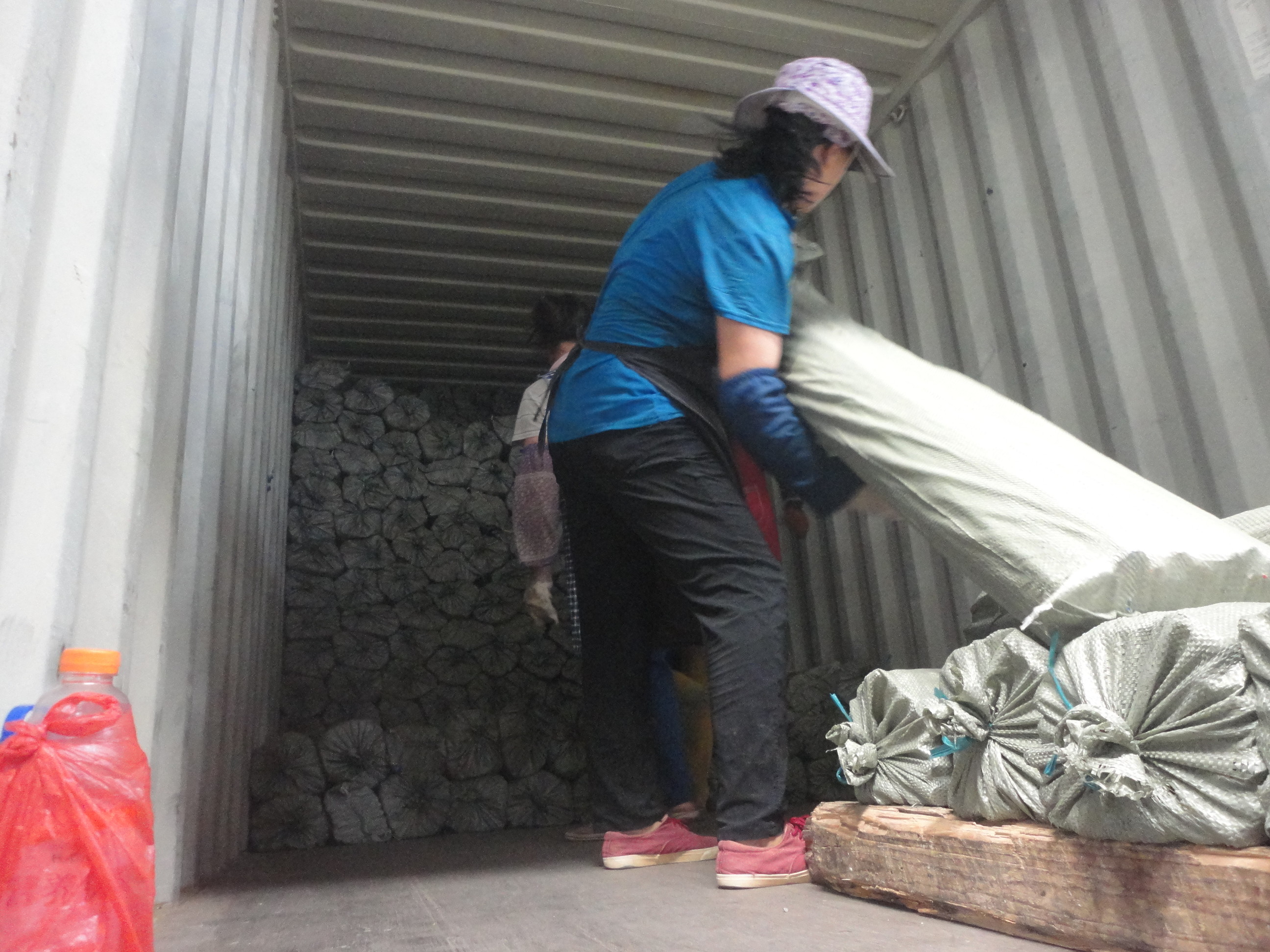 Floor Eucalyptus Wood 1200mm Wooden Mop Handles