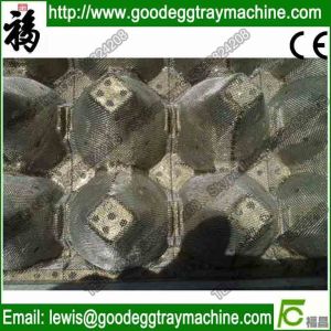 The latest technics for egg tray mould
