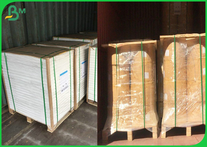 pe coated paper