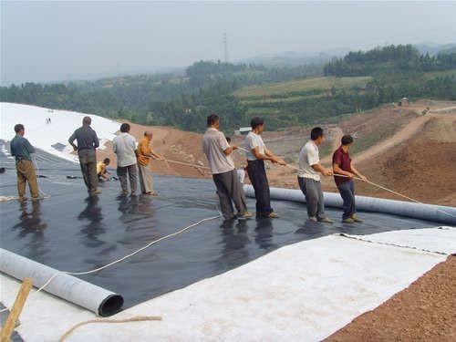 UV Protection Geomembrane Sheet 0.5mm 0.75mm 1mm Pond Liner in Black White Green Blue
