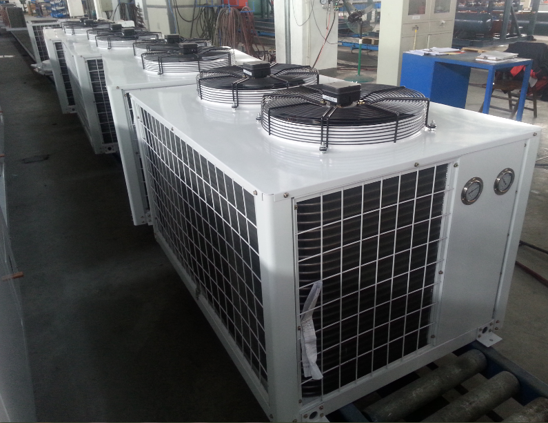 R507 Refrigerant Cold Storage Refrigeration System Unit ODM