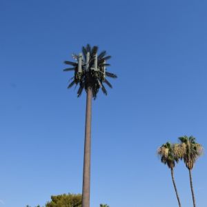 Customization 20m-50m Communication Monopole Artificial Tree Cell Towers Telecom