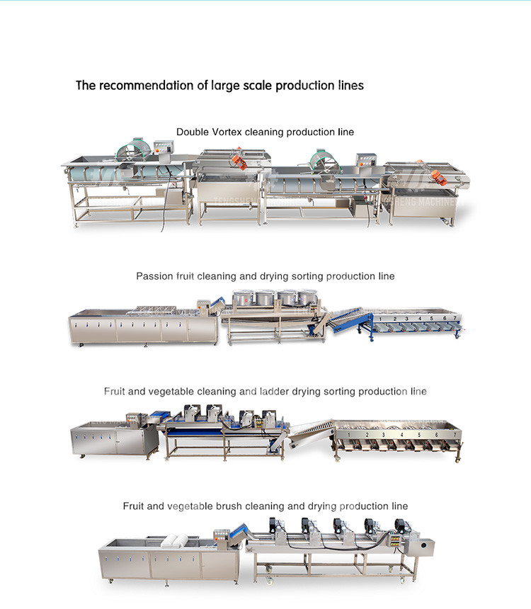 Stainless Steel Vegetable Processing Machine 1.1KW Fruit Cutting Halt Machine