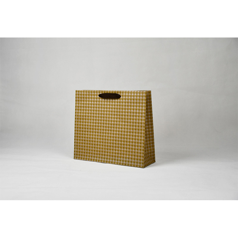 Stylish Sustainable Custom Paper Shopping Bags Lightweight Eco Friendly