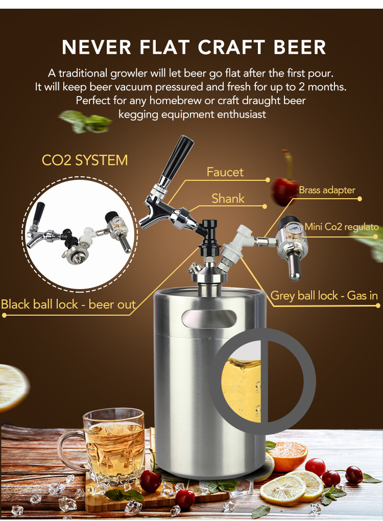 Polished 5 Litre Ball Lock Mini Keg , Ball Lock Beer Keg Dispenser System