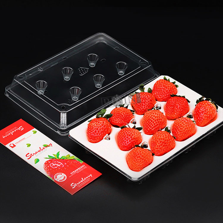 11 Compartments Clear Plastic Strawberry Containers Custom Waterproof