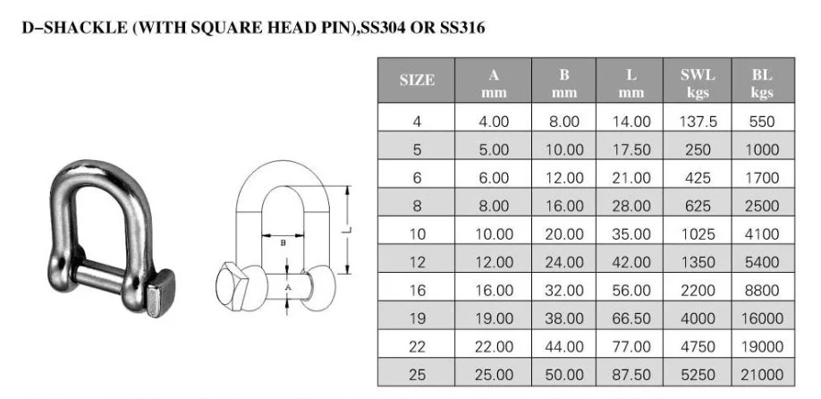 Polished Finish OEM 304 316 Stainless Steel Us Bolt Type Chain Shackle D Shackle