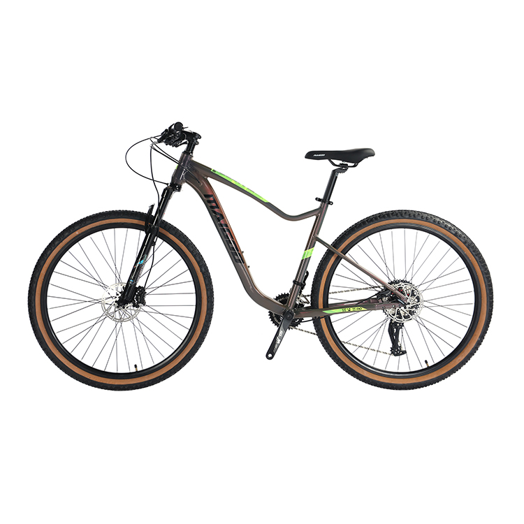22 Speed Hydraulic Disc Brake Mountain Bike for 29er Aluminum Material and Construction