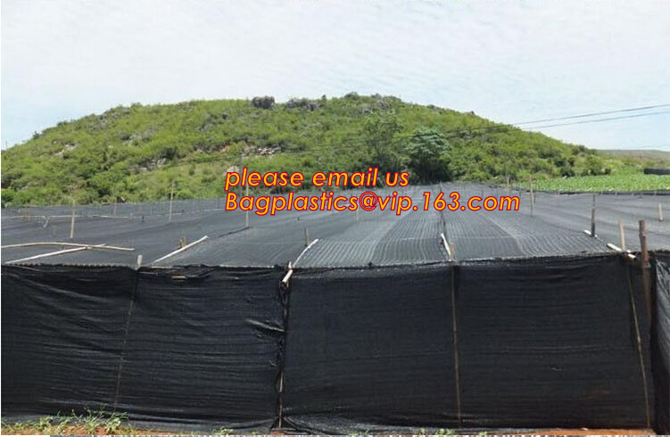 cheap and durable plastic colored anti mosquito netting/window insect screen,Industrial Agricultural Greenhouses use 2m
