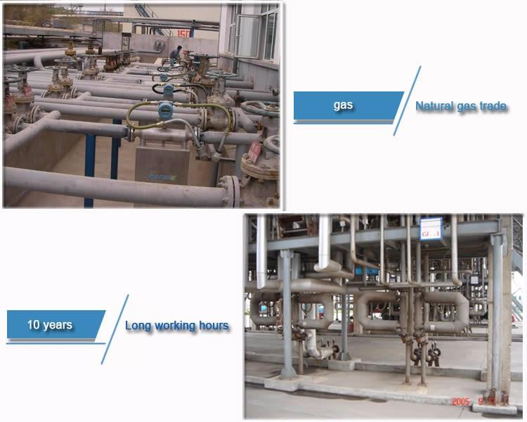 Mass Flowmeter-cheese Production and Processing Metering Equipment