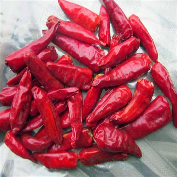 Sundried Facing Heaven Chilli 3CM Hot Pot Chaotian Chilli Spicy Fragrance