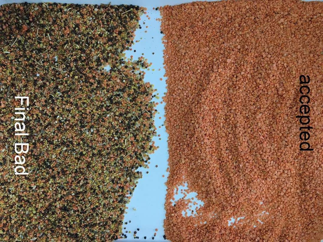 WENYAO Wholesale CCD LED Small Grain Rice Corn Beans Color Sorter Hot in Ploland