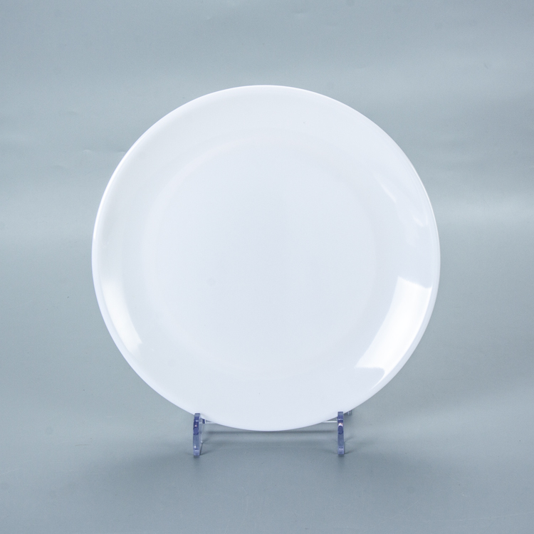 melamine plate 1.jpg