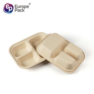 Degradable and environmentally friendly bagasse take-away food box Degradable