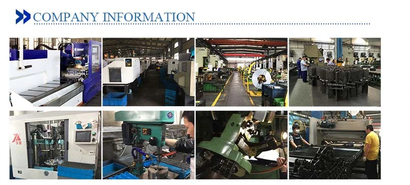 MW High Quality M1- M8 Steel Special Gear