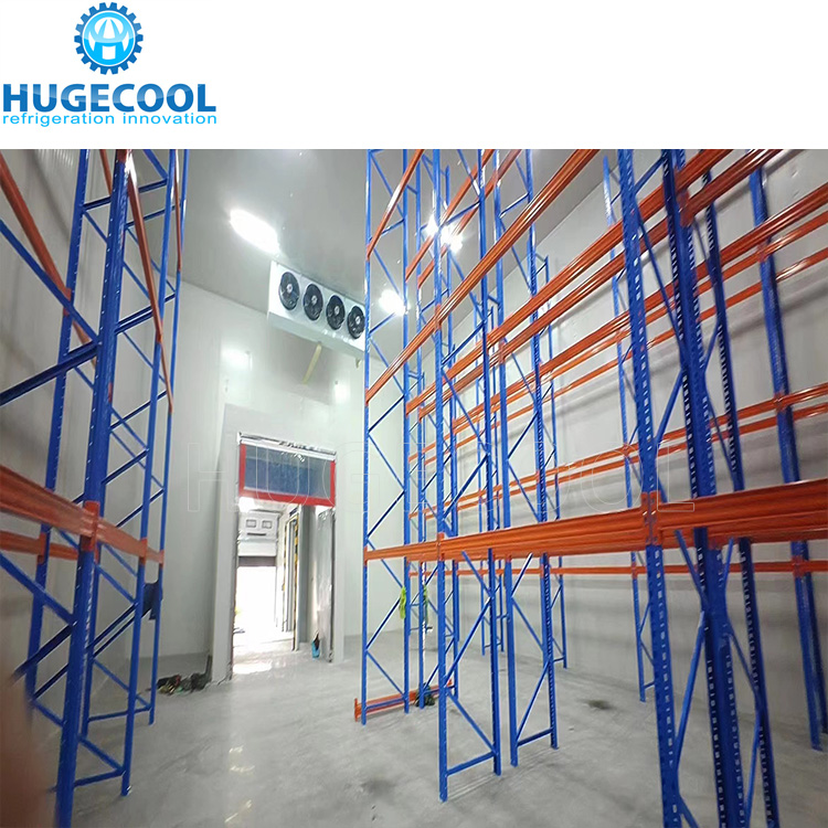Large Freezer Cold Room For Vegetable Portable Refrigeration Unit