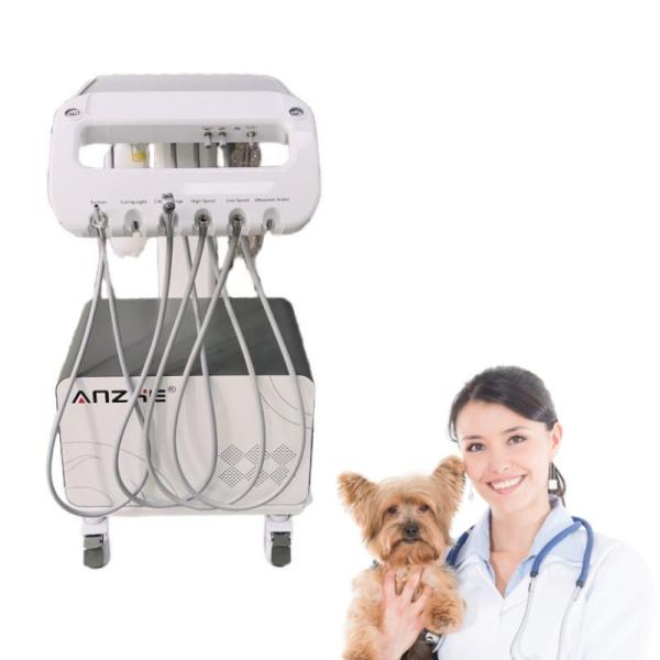 Veterinary Dental Equipment Mobile Dental Unit For Pet Clinic Animal Teeth Care
