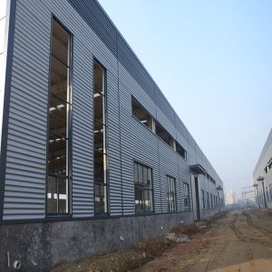 Custom Steel Frame Factory Warehouse Q355B Structure