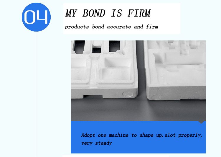 Foam Poly Dragon Packaging Molding Mold EPS Poly Dragon Lining Foam
